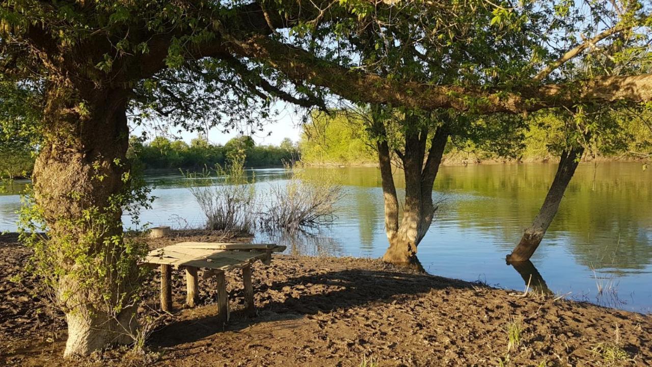 Guest House Studio Apartman Marina - With Jacuzzi, Free Parking, Pet Friendly Karlovac Extérieur photo