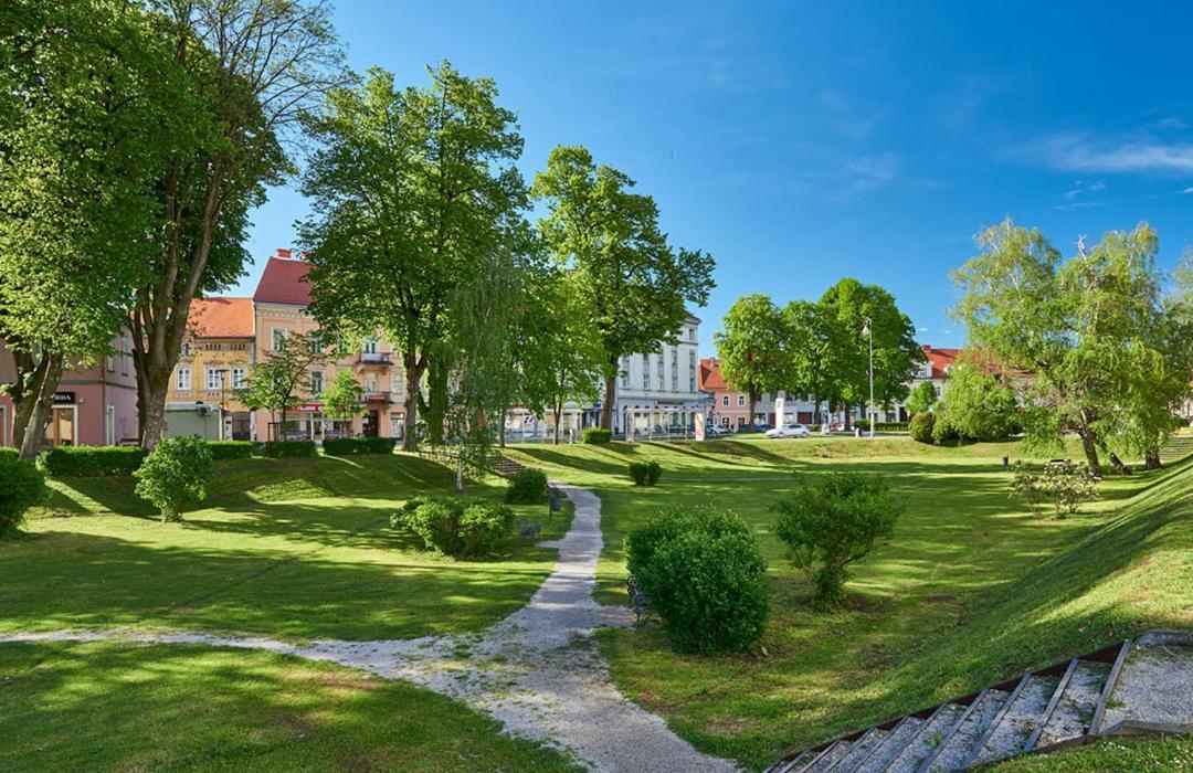 Guest House Studio Apartman Marina - With Jacuzzi, Free Parking, Pet Friendly Karlovac Extérieur photo